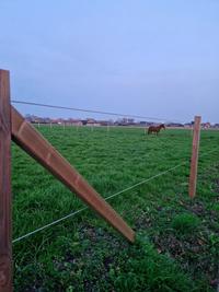 Schrikkoord FenceTech voor het afspannen van weides met paarden, toepassingsfoto
