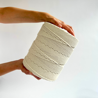 Corde macramé 3 mm – blanc cassé – 800 m – coton recyclé double retors