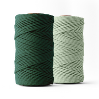 Corde macramé 3mm – eucalyptus et vert foncé – 2x120m – coton recyclé double retors