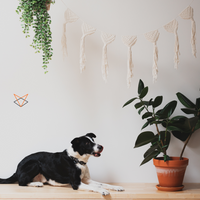 Corde macramé 3mm – écru – 240m – simple torsion coton recyclé
