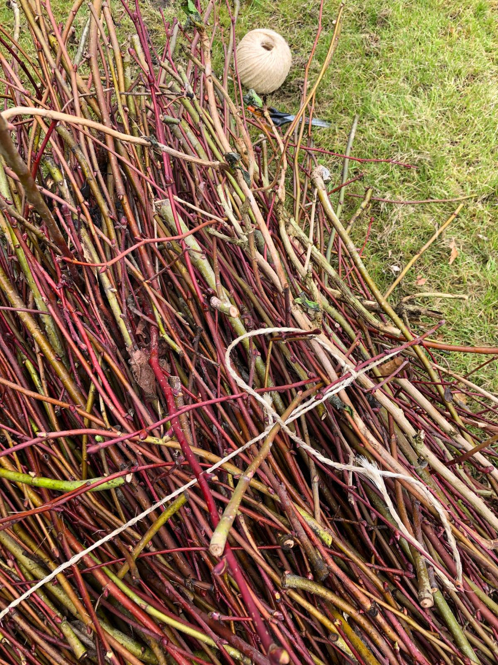 Sisal toepassingsfoto takken samenbinden
