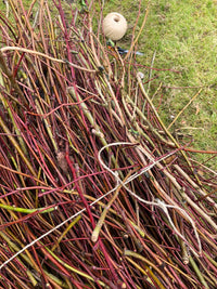 Sisal toepassingsfoto takken samenbinden