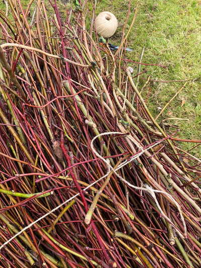 Sisal toepassingsfoto takken samenbinden